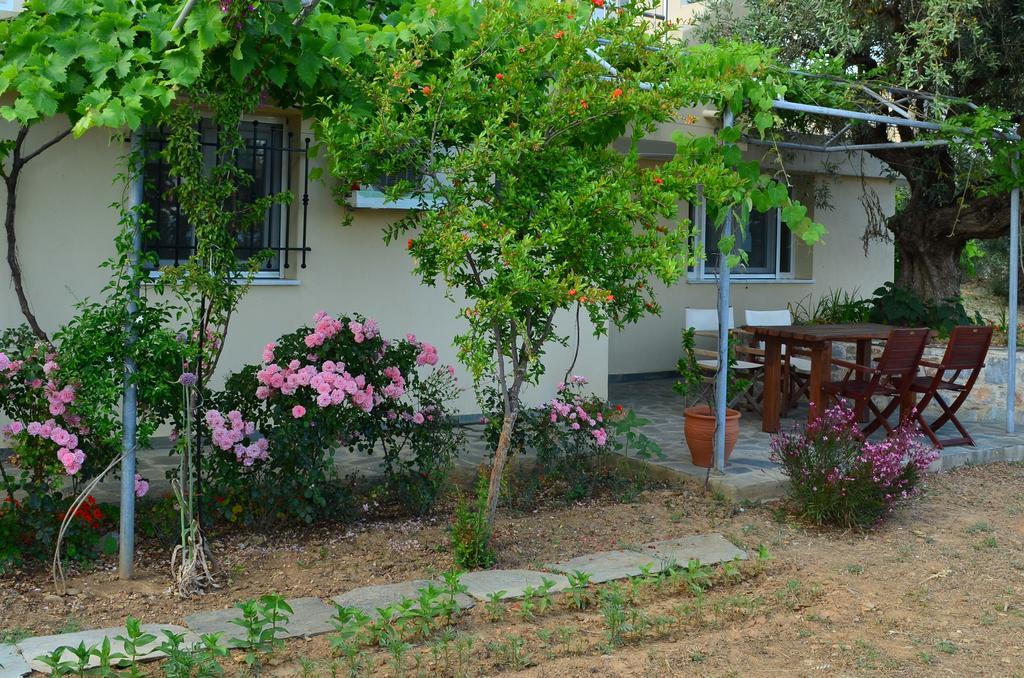 Villas Zoe Ksanemos Exterior foto